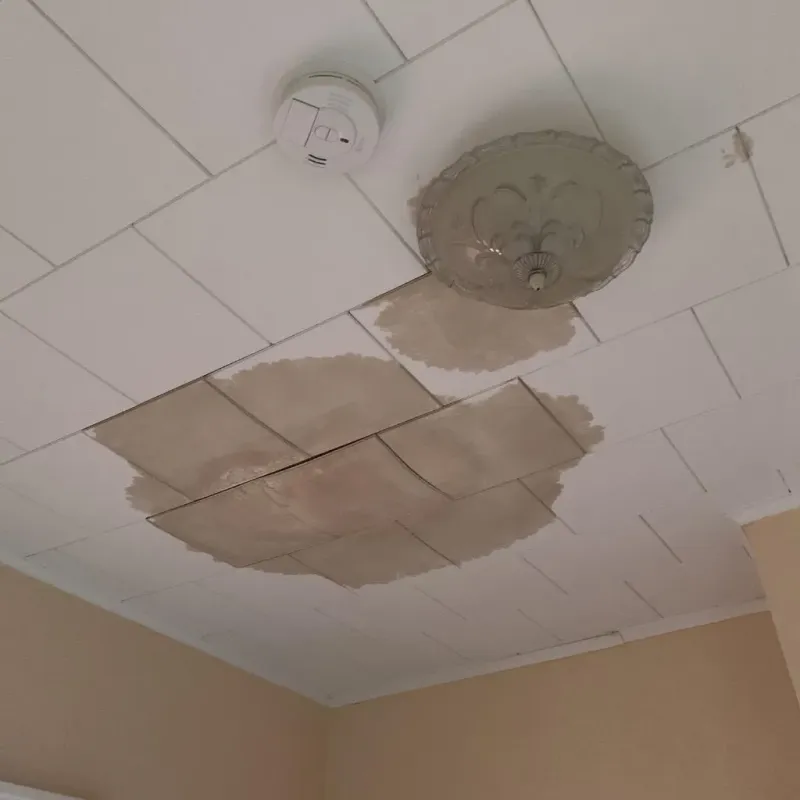 Ceiling Water Damage Repair in Yazoo County, MS