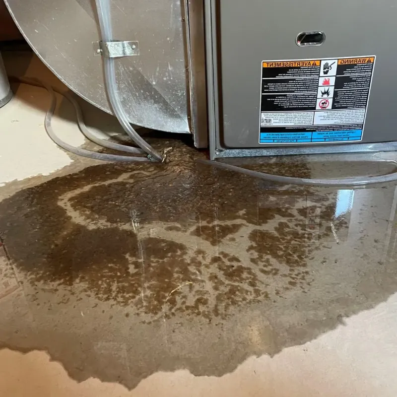 Pipe Burst and Leak Restoration in Yazoo County, MS