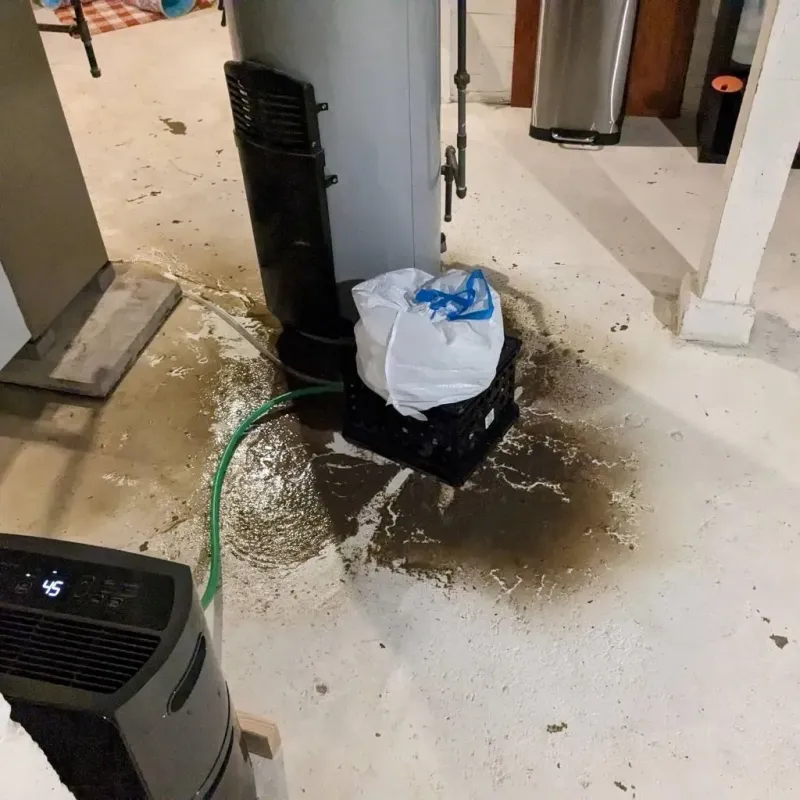 Sewage Backup Cleanup Service in Yazoo County, MS